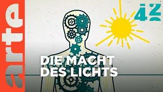 Was ist das Geheimnis des Lichts? | 42 - Die Antwort auf fast alles | ARTE