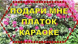 ПОДАРИ МНЕ ПЛАТОК Караоке на баяне