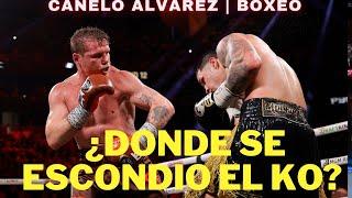 CANELO ALVARZ: no son los más jóvenes, sino los mejores #boxeo #boxing