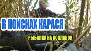 Рыбалка на поплавок в поисках карася на речке Саксагань