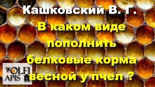 #Кашковский В. Г. В каком виде пополнить белковые корма весной у пчел ?