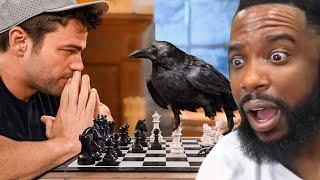 CashNasty Reacts To Testing The World’s Smartest Crow