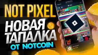 NOT PIXEL - НОВАЯ ТАПАЛКА ОТ NOTCOIN! ДОСТУП В БЕТА ВЕРСИЮ НАГРАЖДАЕМУЮ!