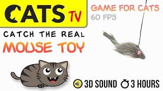 GAME FOR CATS - Real mouse toy   - 3 HOURS [60FPS]