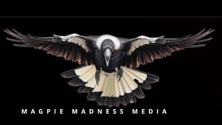 Magpie Madness Media