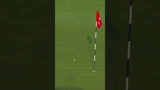An EAGLE  has landed for Maxwell Moldovan on 1. Potentially the shot of the championship!