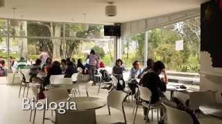 9 Comedores para tu Bienestar