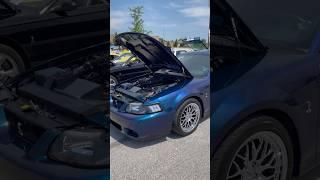 Who doesn’t love a Mystic Chrome Cobra  #terminator #cobra #ford #whipplesupercharger #shorts #hp