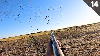 THOUSANDS Of MALLARDS Dumped Into Our Spread (RARE BIRD) | Duck Hunting 2024