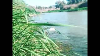 Lake in Cyprus