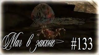 Белый хребет, красные пауки [TES 5 Skyrim маг в законе] ◄#133►