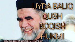 UYDA QUSH BALIQ BOQISH XUKMI. SHAYH MUHAMMAD SODIQ MUHAMMAD YUSUF