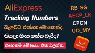 Tracking Numbers බලලා එන්නෙ මොකෙන්ද කියලා හොයා ගමු | Ecoin With LaiYaa #sinhala #aliexpress