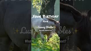 Your Birthday = Your Luxury Stables(what months should I do next?) #horse #luxury #equestrian