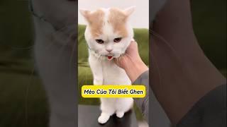  Dứa Dứa cũng biết ghen rồi ? #emthocreview #shorts #trend #viral #hàihước #giảitrí