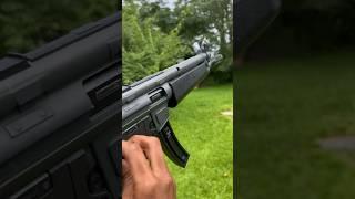 GSG - 15 22LR (I wouldn’t recommend anybody buy this gun)