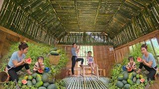 build bamboo ceilings for insulation and pick watermelons to sell
