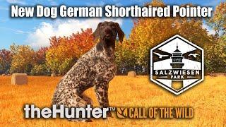 German Shorthaired Pointer Diamond Hunt At Salzwiesen Park theHunter Call Of The Wild. Early Access