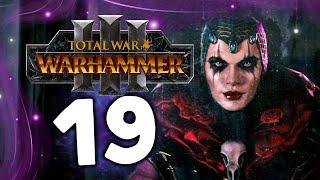 Эльспет фон Дракен Total War Warhammer 3 прохождение за Империю (сюжет) - часть 19