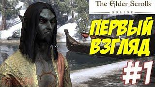 Elder Scrolls  Online Что же это такое #1