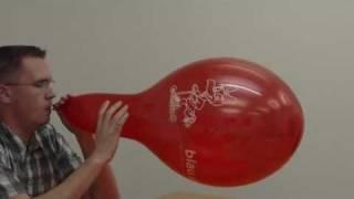 b2p 14" balloon - crystal red belbal