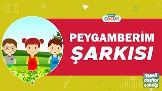 Peygamberim Şarkısı - Neşeli Dostlar Sokağı