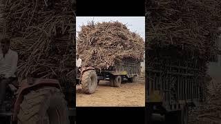 jai shri ram song  Mhindra tractor trolley pulling new short video#youtubeshorts