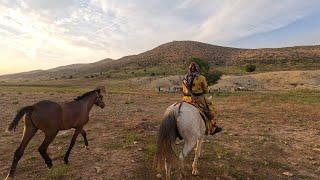 Nomadic Woman Riding Horse & Shooting Gun : Nomadic Lifestyle Of Iran