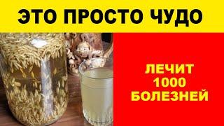 ОВЕС ЛЕЧИТ 1000 БОЛЕЗНЕЙ:  печень, желудок, почки, бронхит, чистит кровь, укрепляет иммунитет