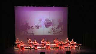 梁祝 The Butterfly Lovers by Sound of China Guzheng Ensemble 唐韻古箏樂團