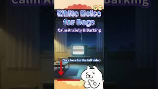 Calming White Noise for Dogs | TV Static Sound to Calm Barking, Anxiety & Stress Relief #shorts