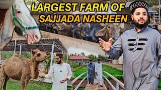 LARGEST FARM Of Kazipet Dargah Sajjada Nasheen | Warangal Tour