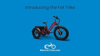 The Electric Fat Trike by Electric Bike Technologies: Ultimate All-Terrain Performance!