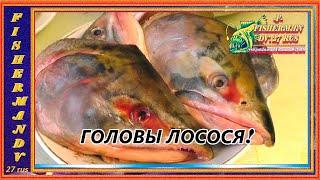 ГОЛОВЫ ЛОСОСЯ под пряным маринадом, рецепты из рыбы от fishermandv27rus