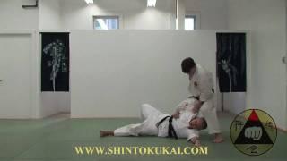 Okinawa Shorin-ryu Karate: Parent Style of Shotokan (clip 7)