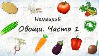 Овощи на немецком. Часть 1