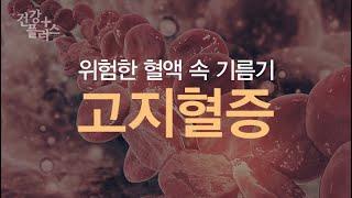 위험한 혈액 속 기름기, 고지혈증 [건강플러스]