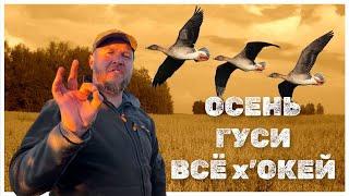 Гусей добыли много,но стрельбы нет)!#охота #охотавроссии