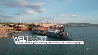 Kleine Ursache, große Wirkung. Wie sicher ist unsere Versorgung? | WeltWeit 03.01.2025