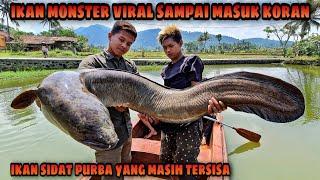 REKOR! Ikan Sidat Terbesar yang Pernah Kami Lihat | The Biggest Eel