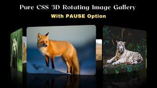 Pure CSS 3D Rotating Image Gallery | HTML and CSS project | Creative JS Coder