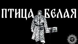 ПТИЦА БЕЛАЯ/ПЕРЕЛЁТНЫЕ/НИКОЛАЙ ЕМЕЛИН/NIKOLA EMELIN