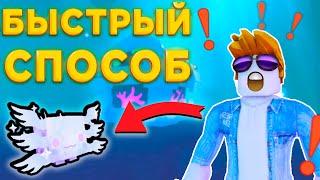 КАК ПОЛУЧИТЬ САМУЮ КРУТУЮ ЛЕГЕНДАРКУ В ПЕТ СИМУЛЯТОР Х astral axolotl Pet Simulator X