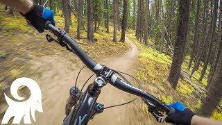 Best Trail in Crested Butte?! | Teocalli Ridge Mountain Biking