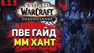 PvE гайд по Охотнику «Стрельба» в WoW Shadowlands 9.2.5