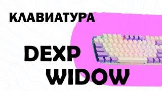 ОБЗОР КЛАВИАТУРЫ DEXP WIDOW ИЗ ДНС | КЛАВИАТУРА ЗА 2000 | ffiveFaynekstt