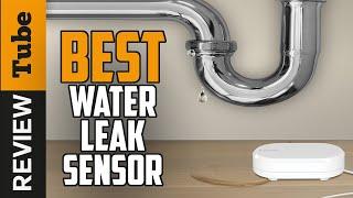  Water Leak Sensor: Best Water Leak Sensors (Buying Guide)