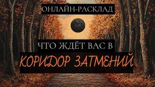 КОРИДОР ЗАТМЕНИЙ: ЧТО ВАС ЖДЁТ В ЭТОТ ПЕРИОД? ОНЛАЙН-РАСКЛАД ТАРО