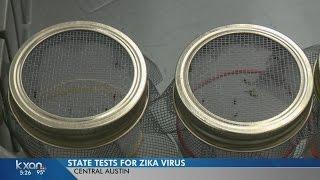 Texas Department of State Health and Services now testing for Zika in mosquitoes