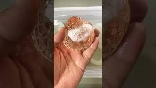#tabasquishy #squishy #stressrelief #ktpinch